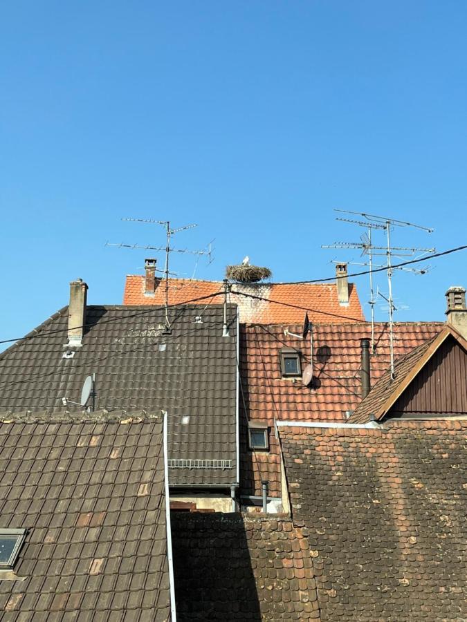 Sous Les Toits Avec Garage Et Terrasse A Ribeauville Exterior photo